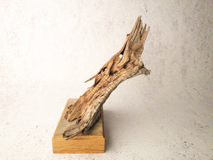 driftwood sculpture
