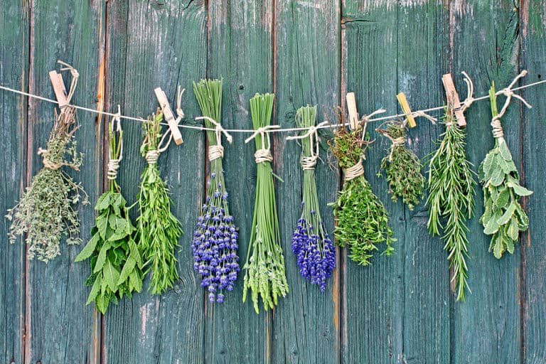 Dried Herbs