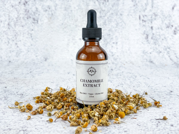 Chamomile Extract - Curate Essentials