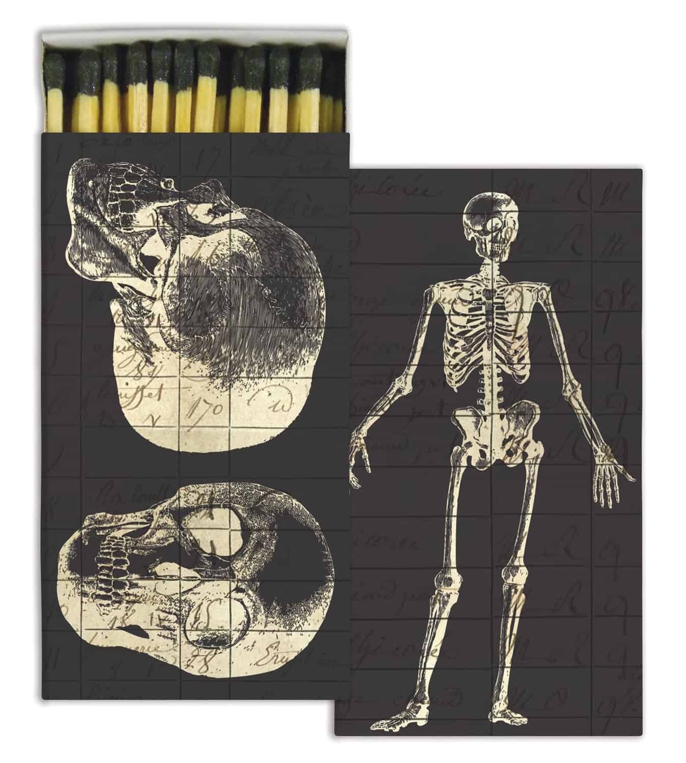 skeleton matchbox