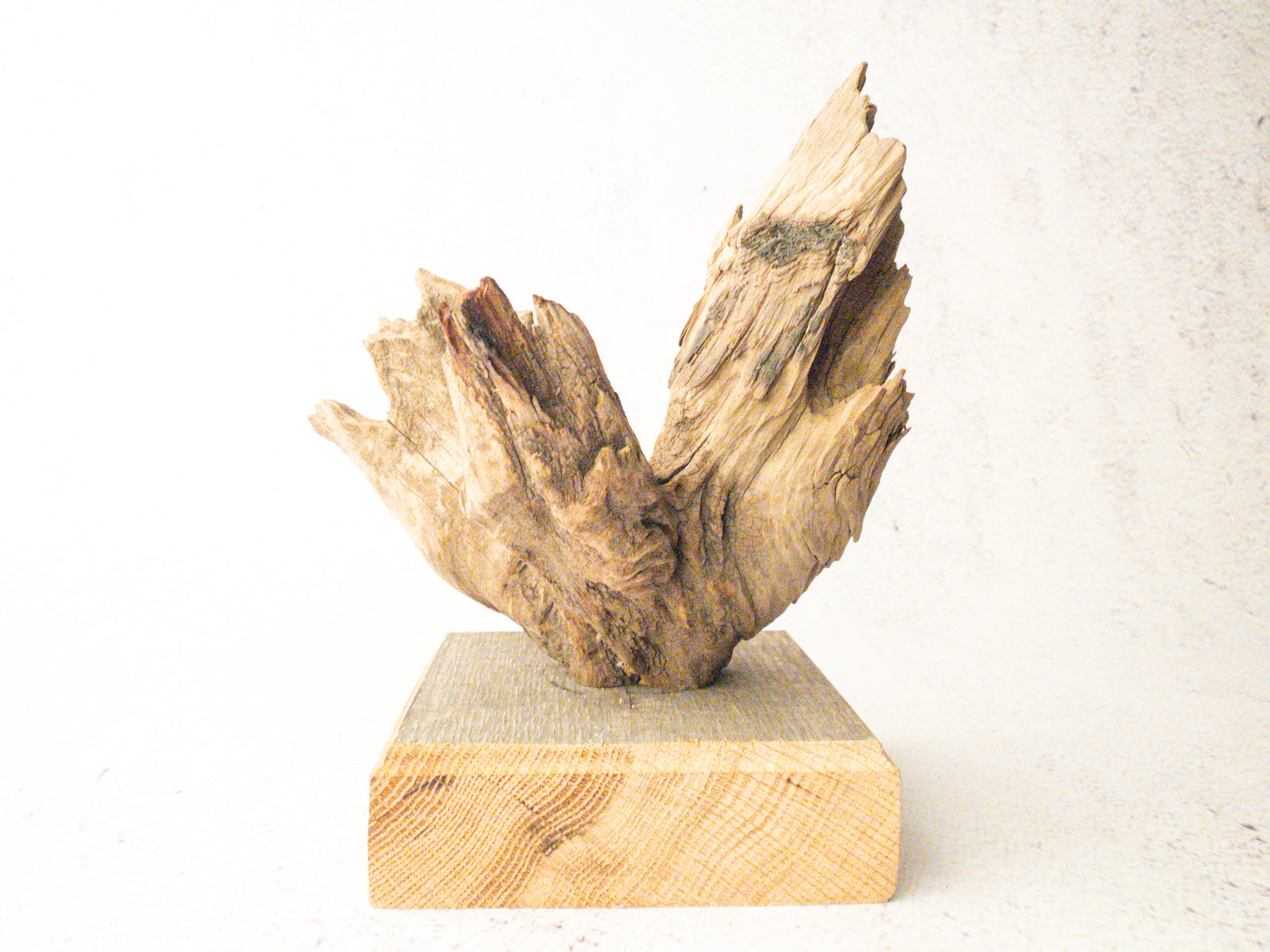 driftwood sculpture