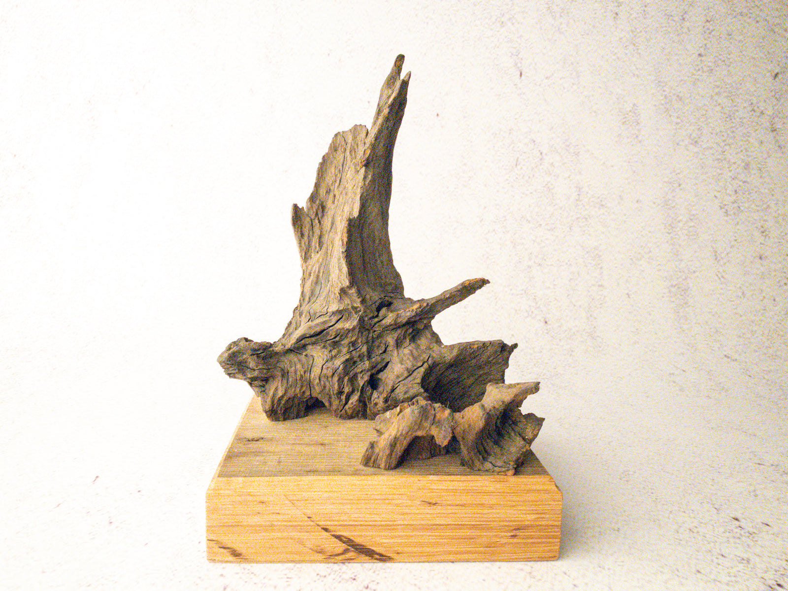 driftwood sculpture