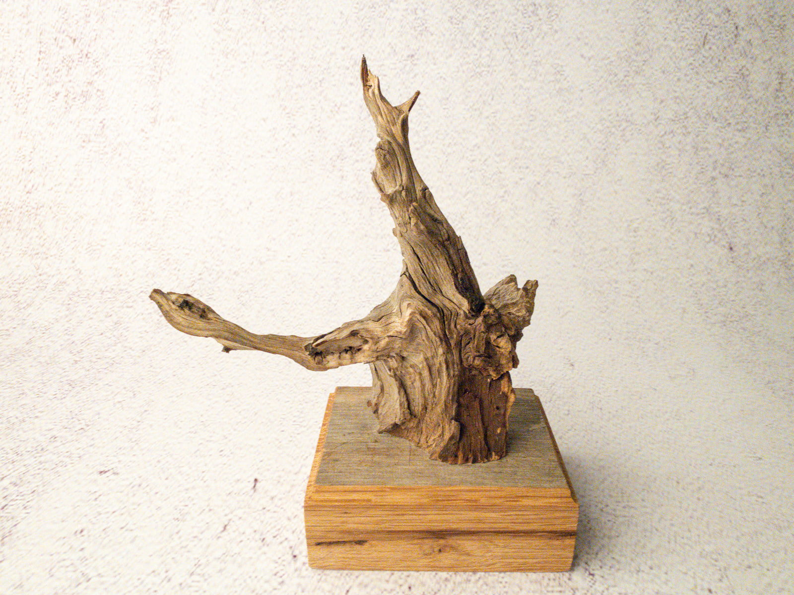 driftwood sculpture
