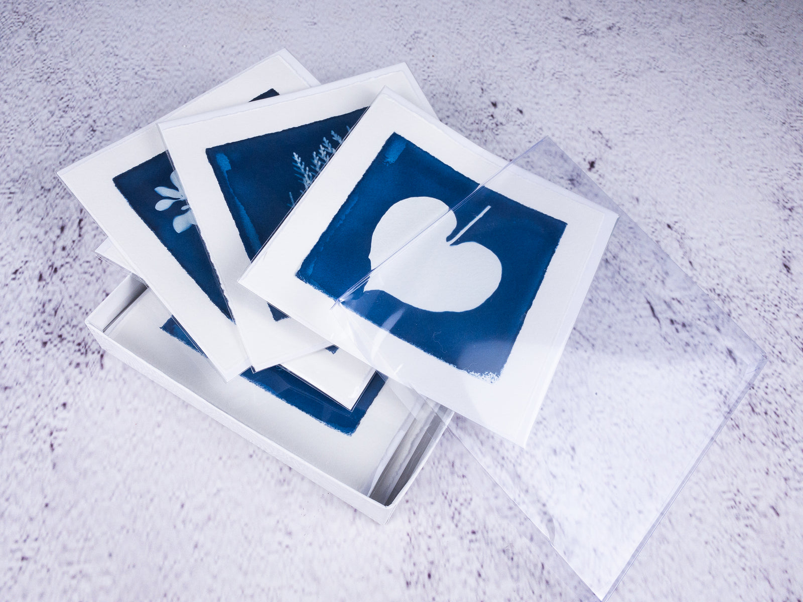 cyanotype note cards