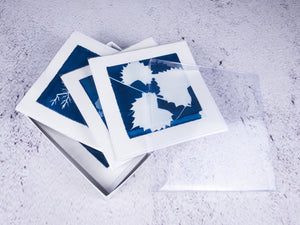 cyanotype note cards