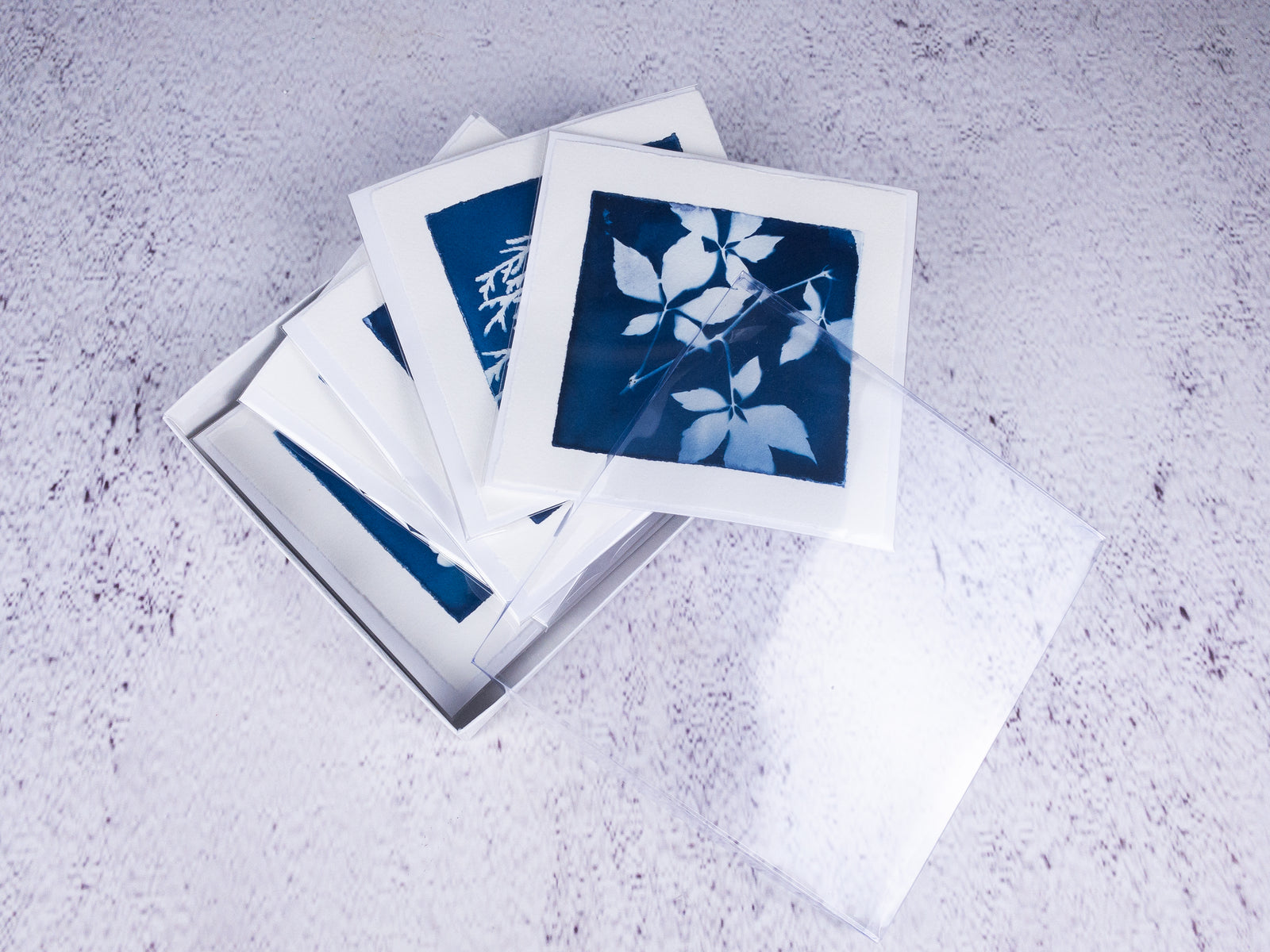 cyanotype notecards