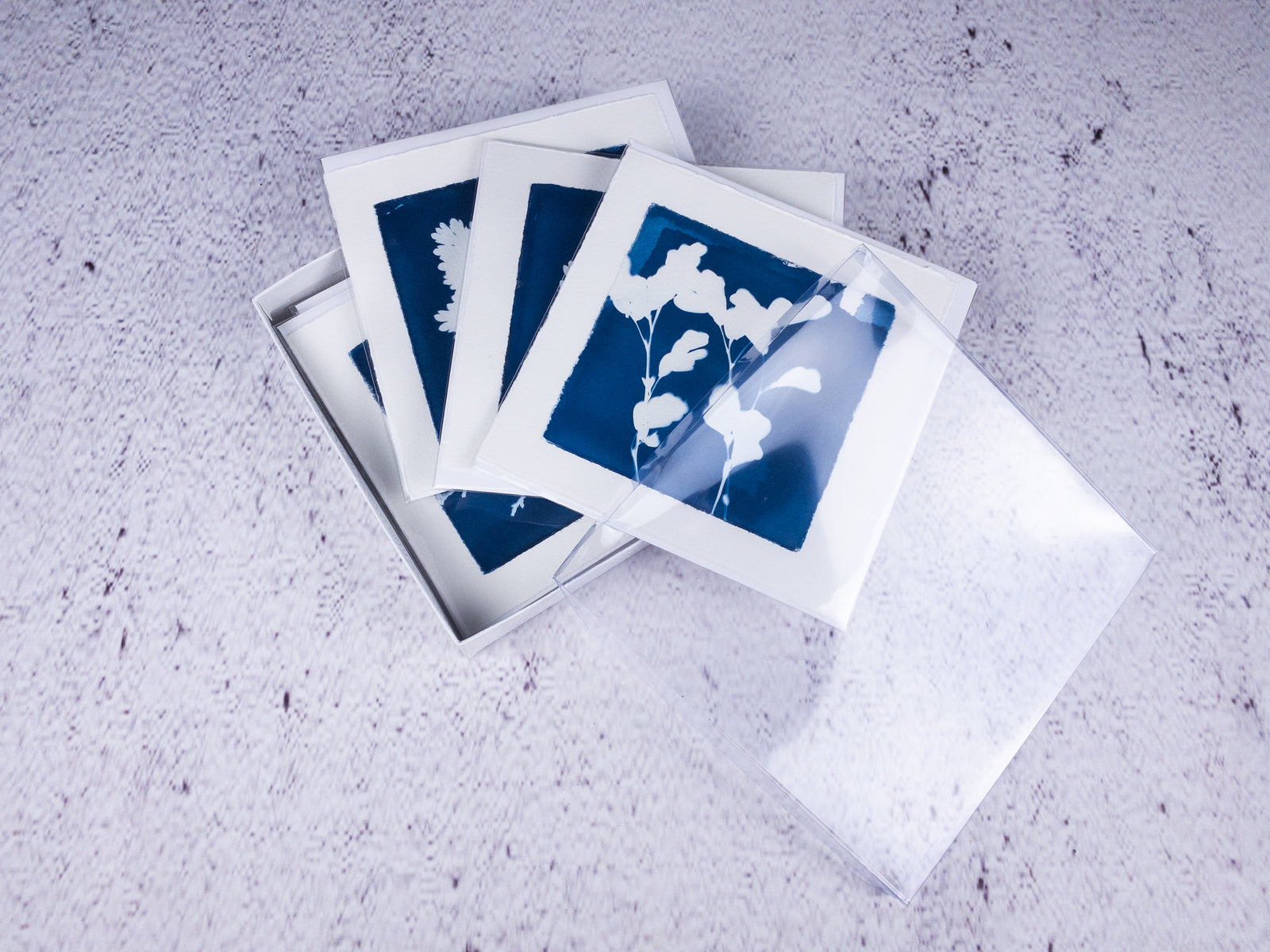 cyanotype notecards