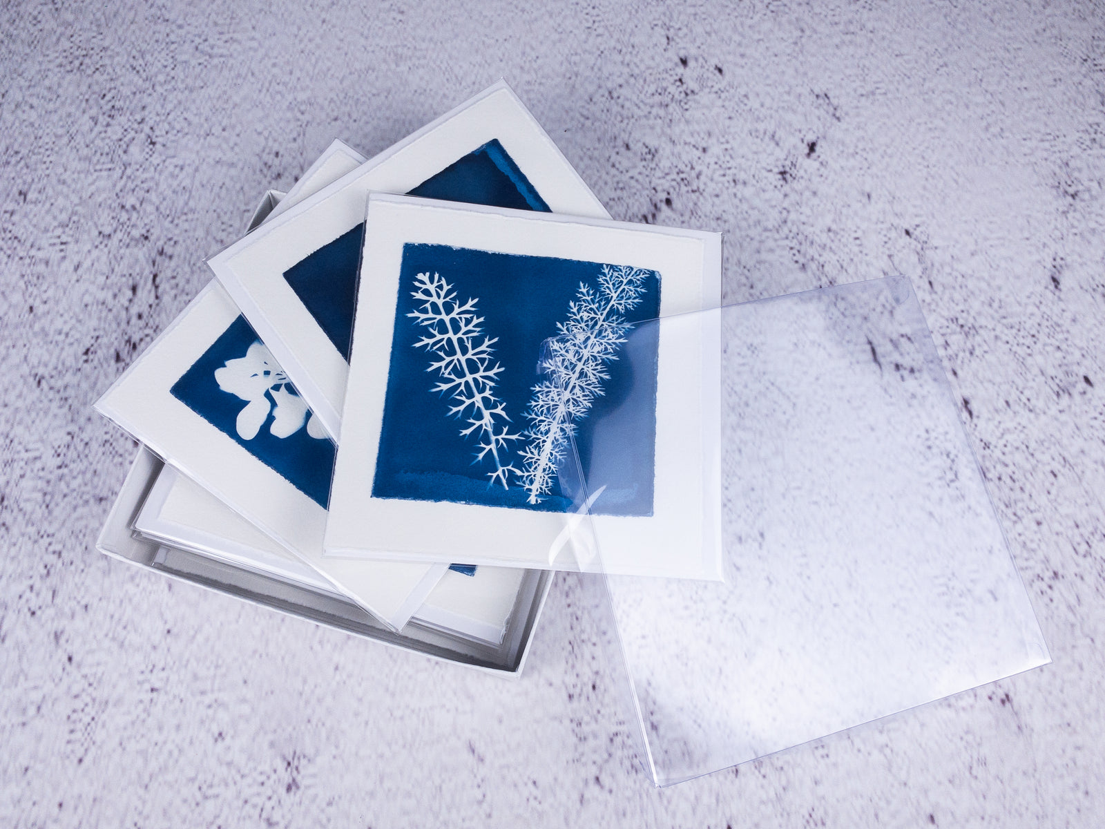 cyanotype notecards