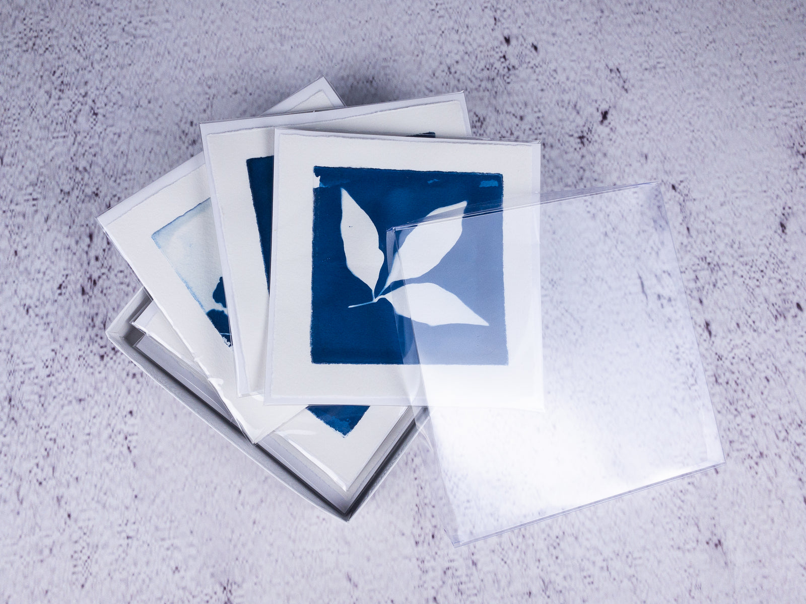 cyanotype note cards