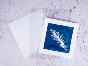 cyanotype note cards