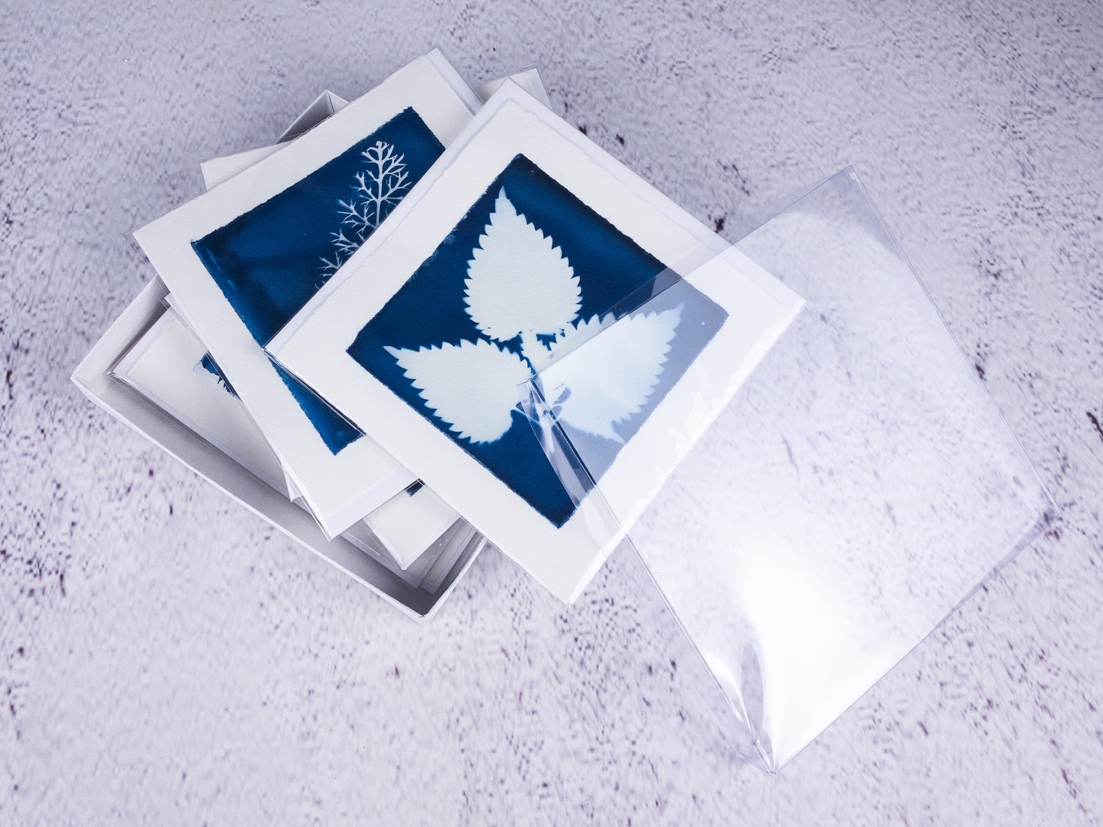 cyanotype notecards