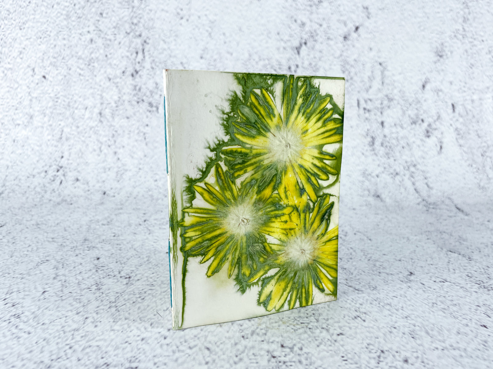 Eco-Printed Notebook