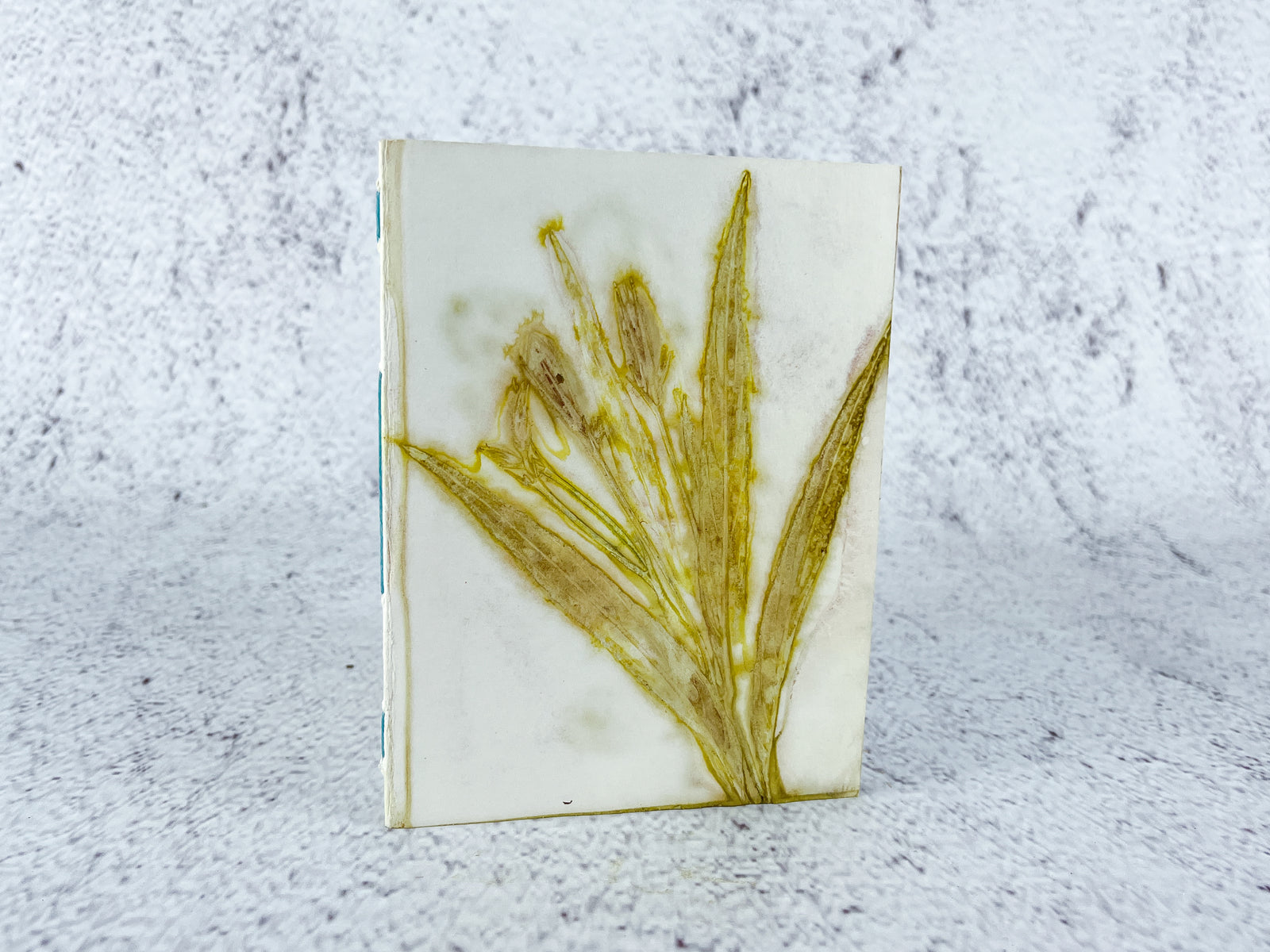 Eco-Printed Notebook