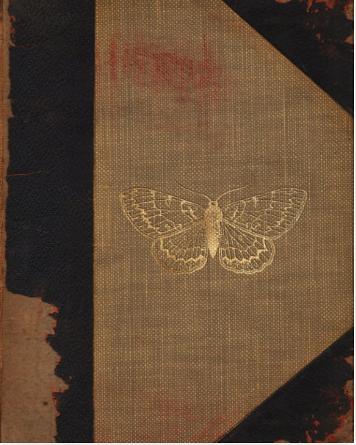 naturalist's journal