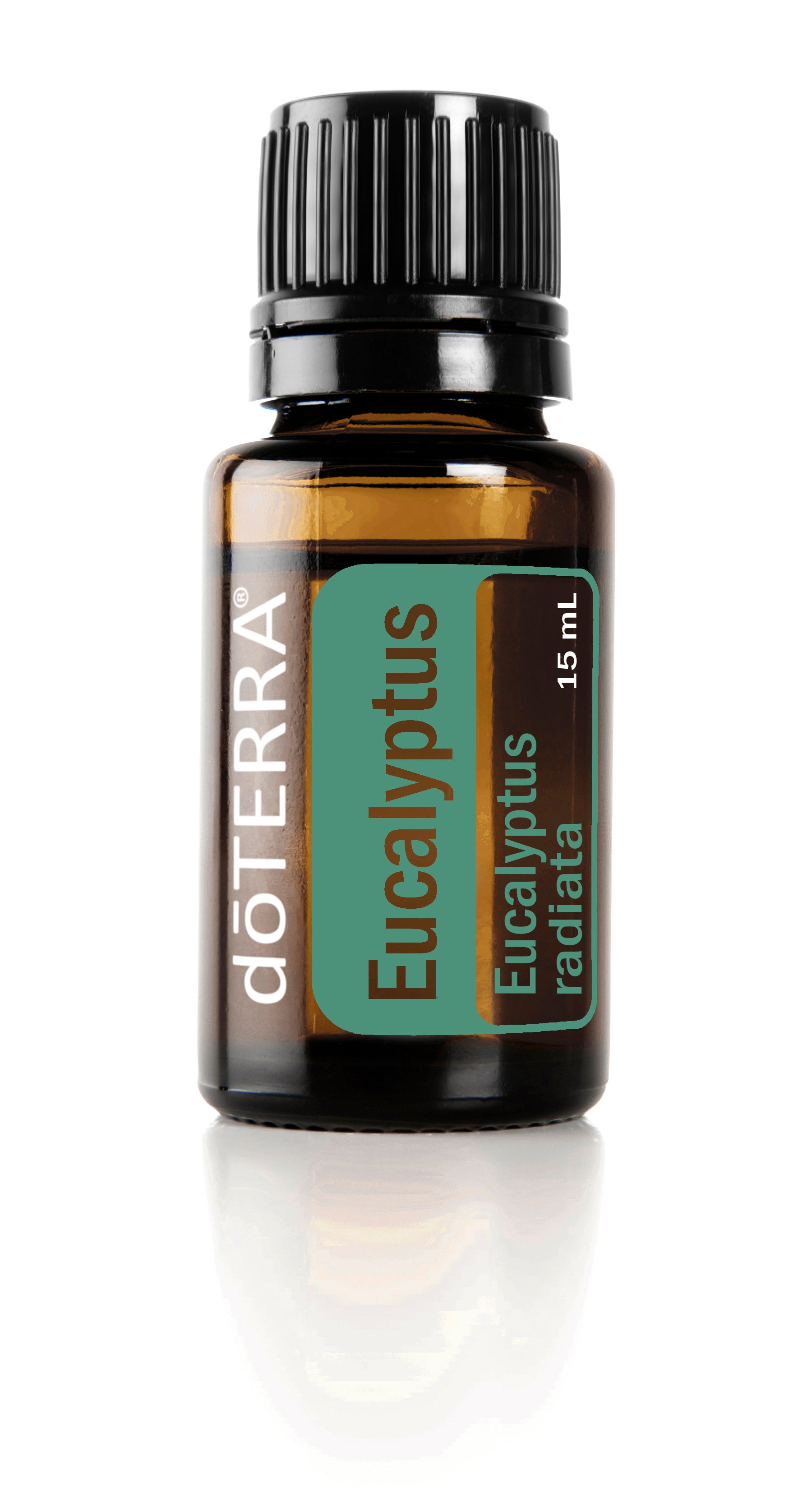 eucalyptus oil 15ml