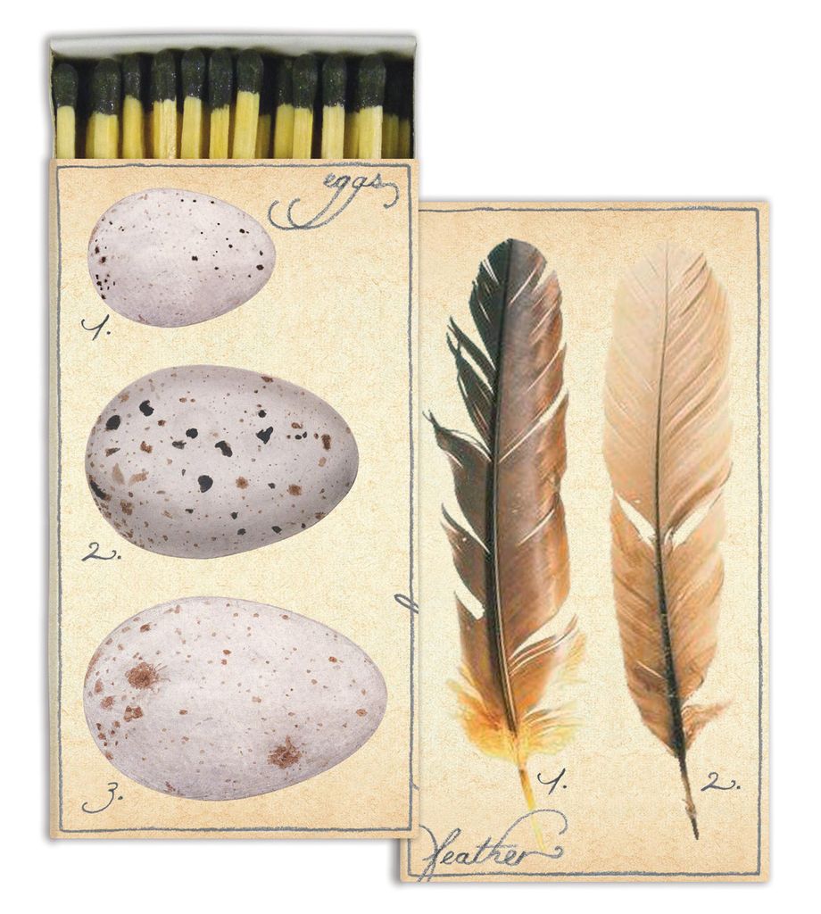 egg and feather anatomy matchbox