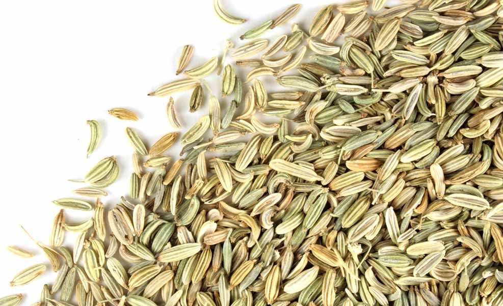 Fennel Seed