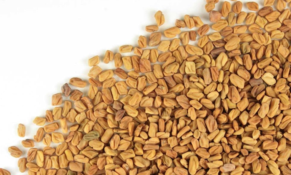 Fenugreek