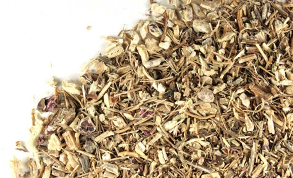 Echinacea Root