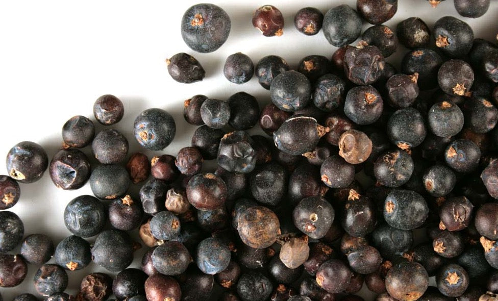 Juniper Berry